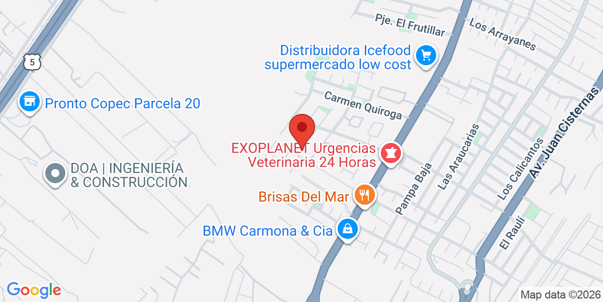 Mapa Estático