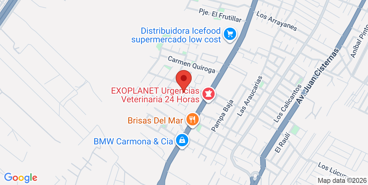 Mapa Estático