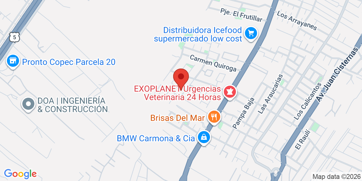 Mapa Estático