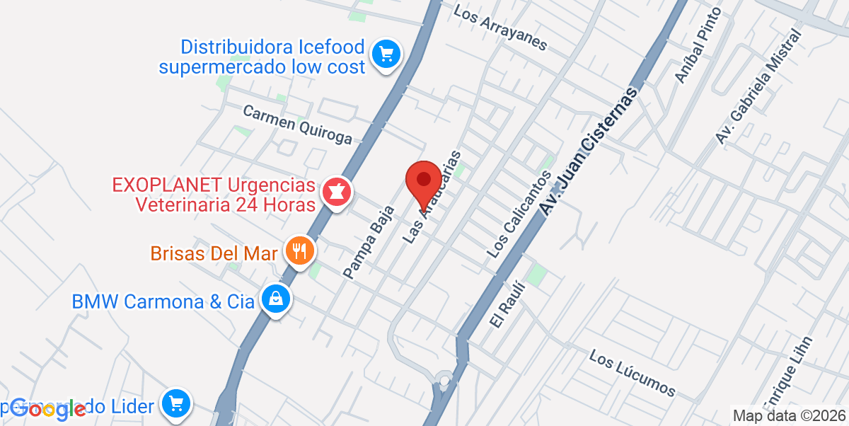Mapa Estático
