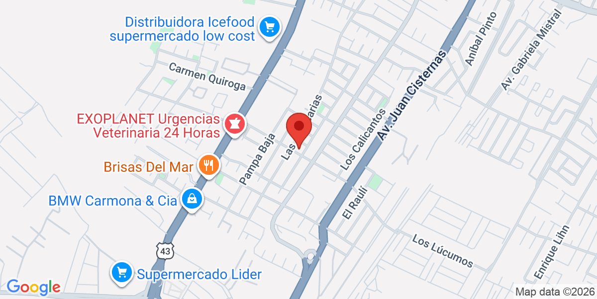 Mapa Estático