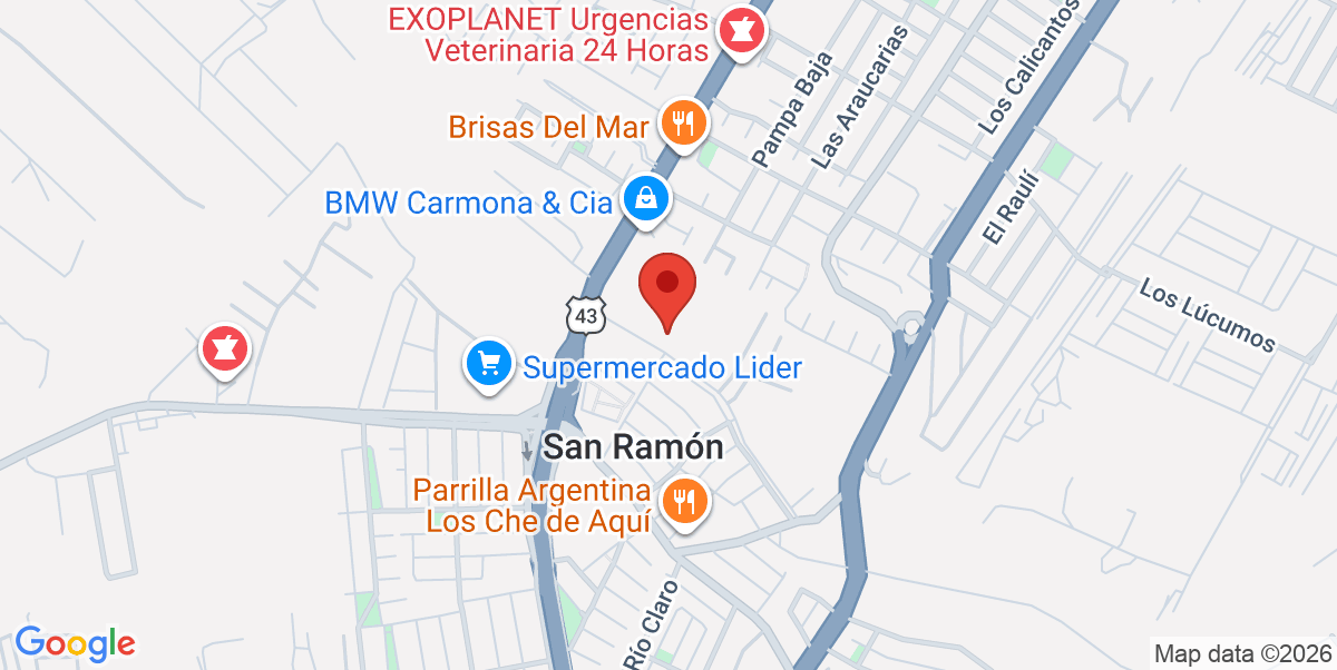 Mapa Estático