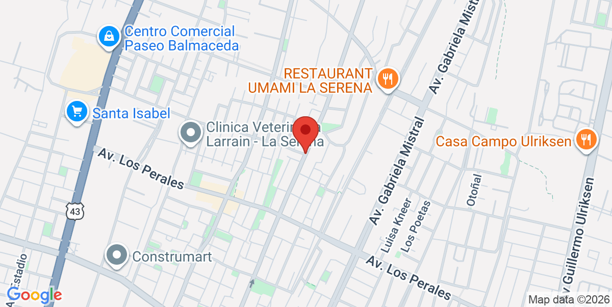 Mapa Estático
