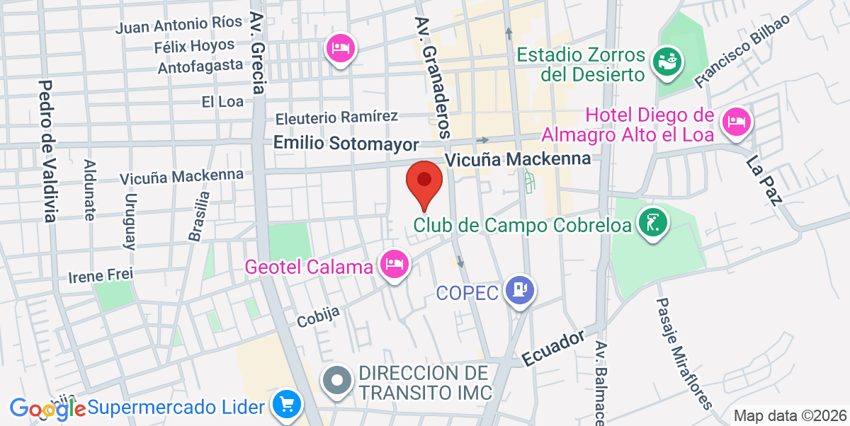 Mapa Estático