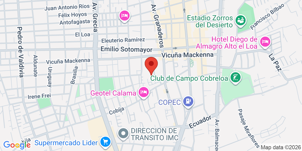 Mapa Estático