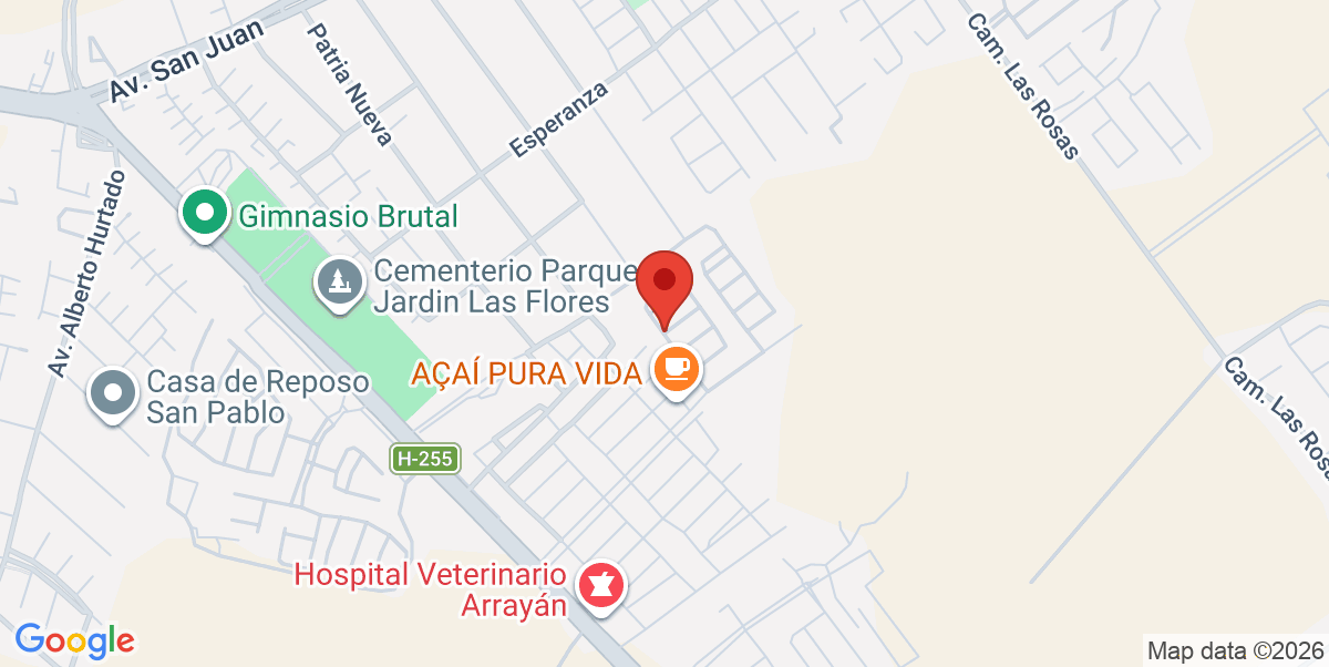 Mapa Estático