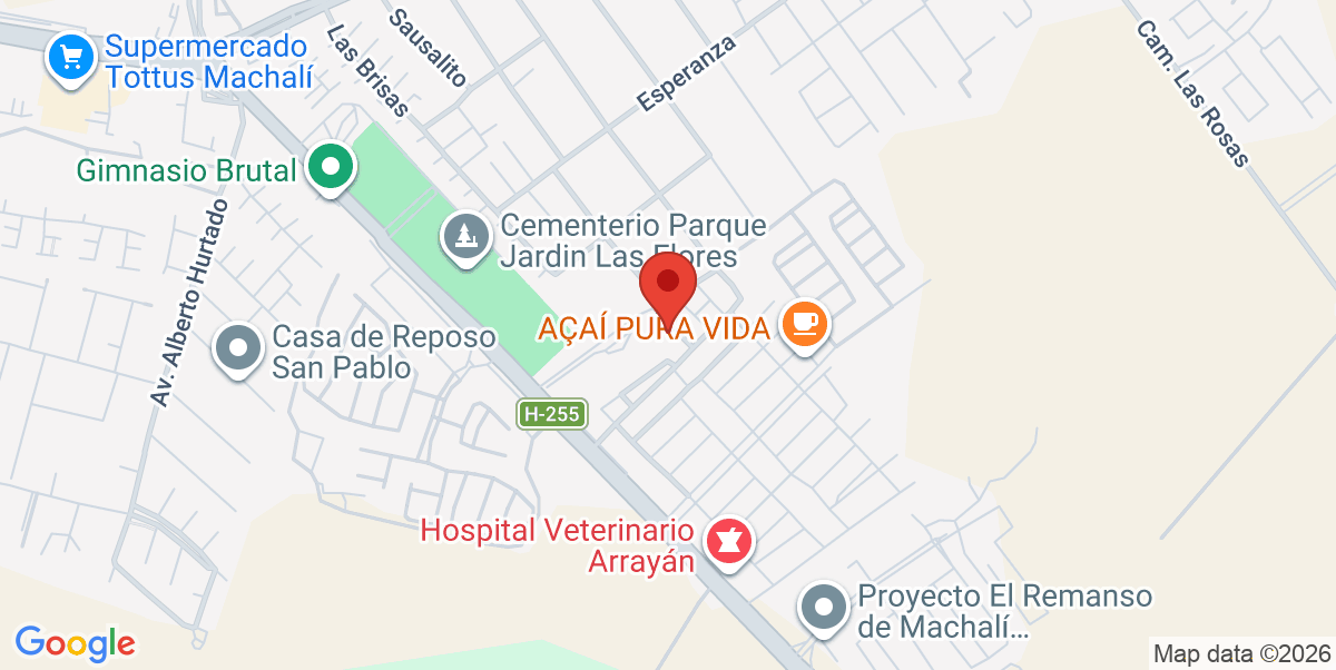 Mapa Estático
