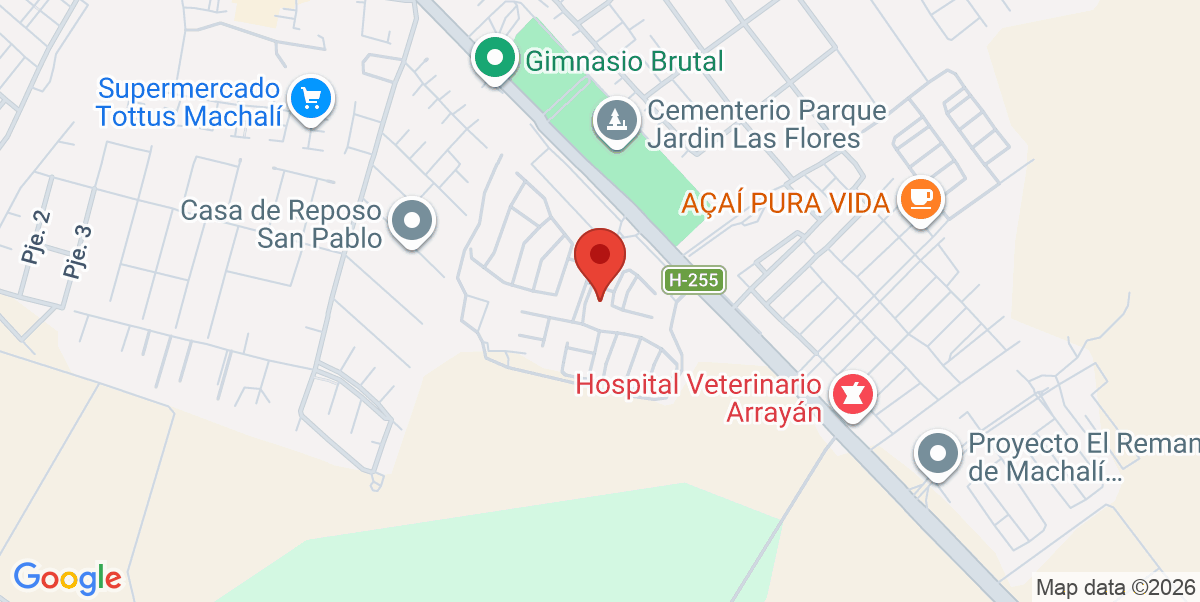 Mapa Estático