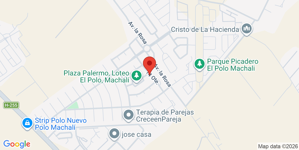 Mapa Estático