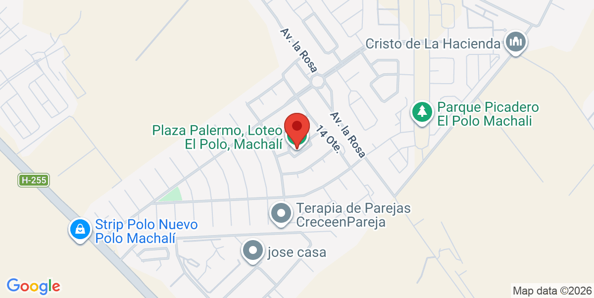 Mapa Estático