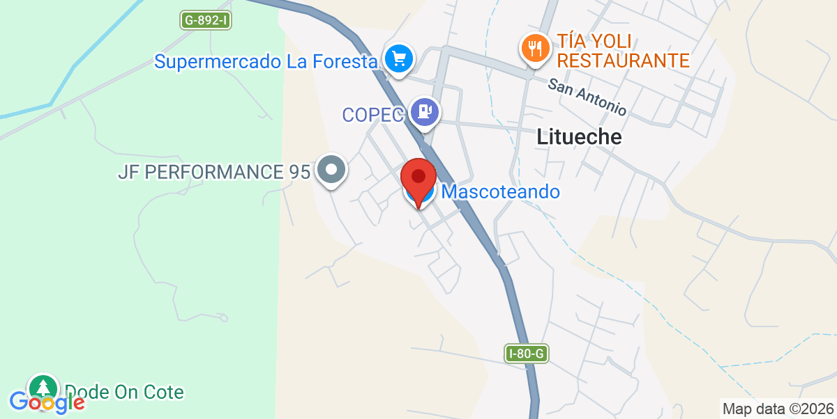 Mapa Estático