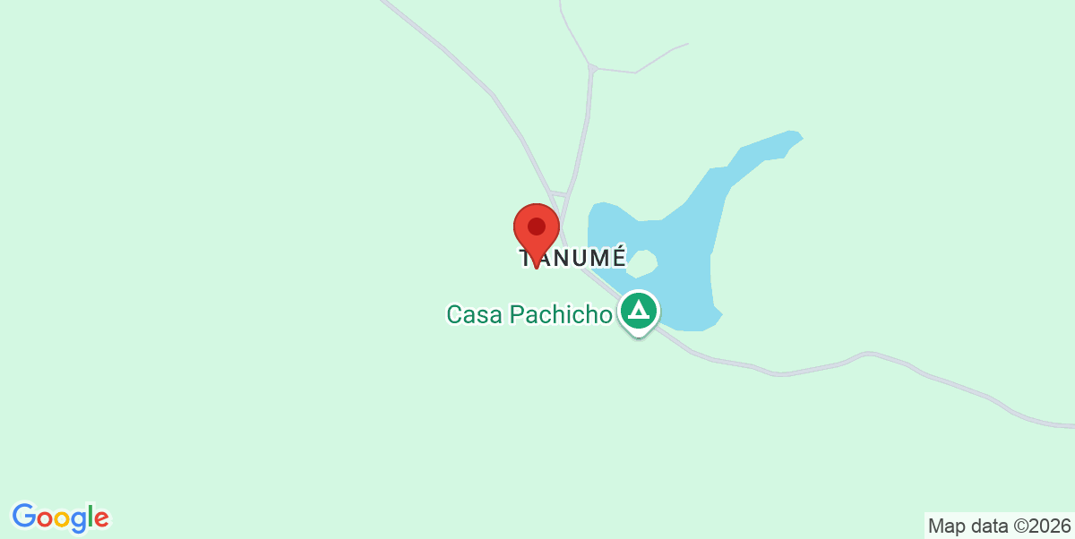 Mapa Estático