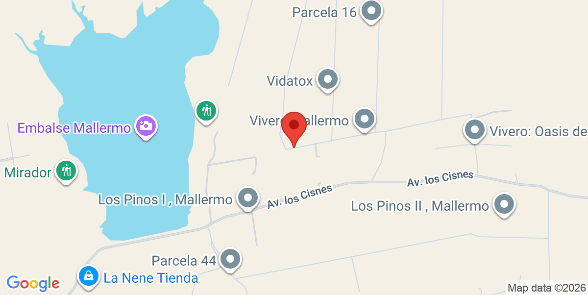 Mapa Estático