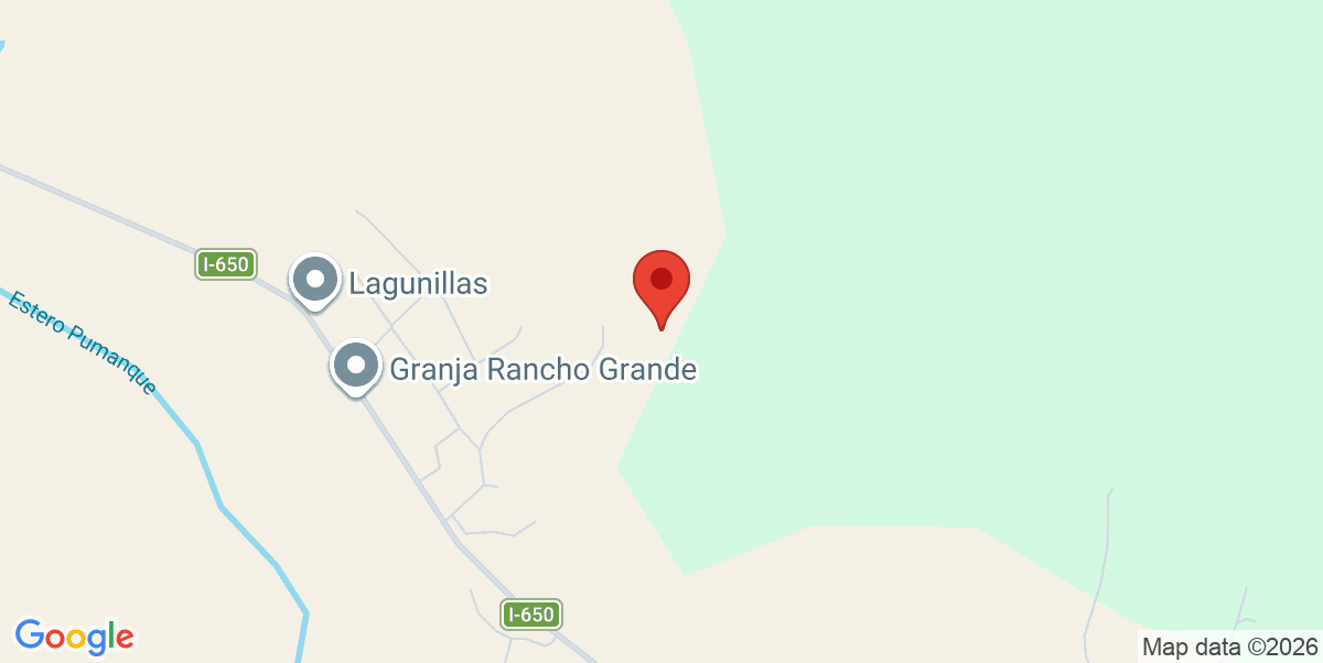 Mapa Estático