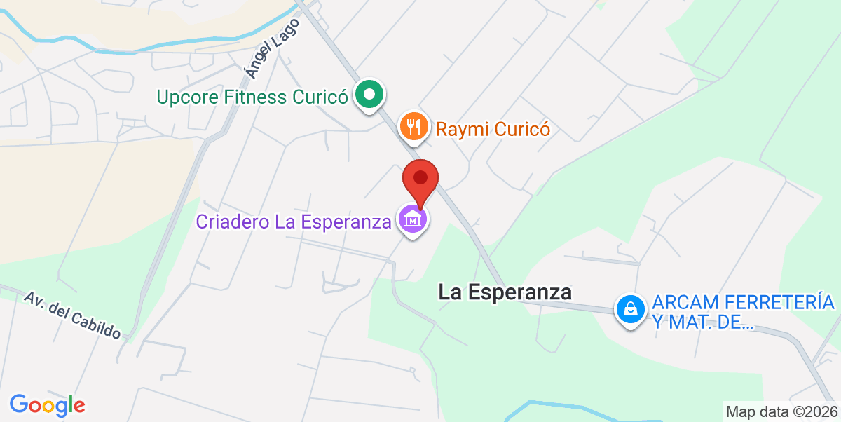 Mapa Estático