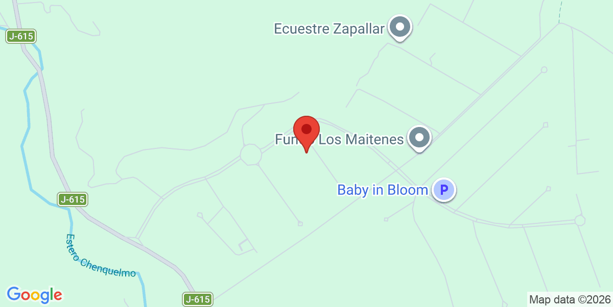 Mapa Estático