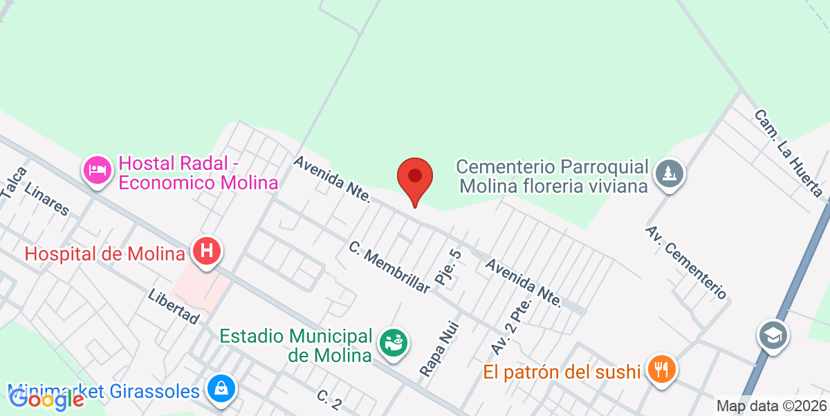 Mapa Estático