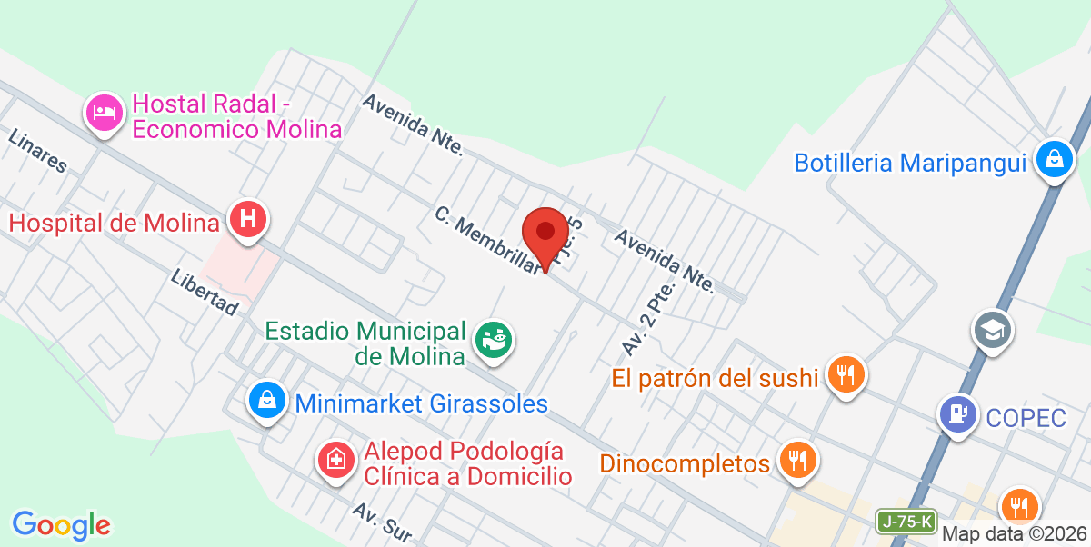 Mapa Estático