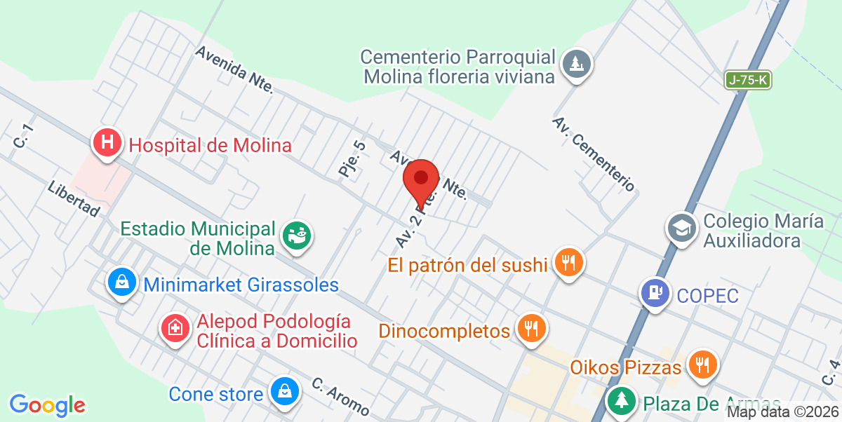 Mapa Estático