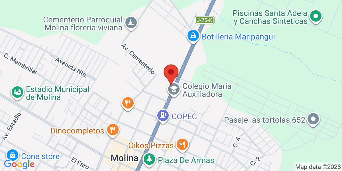 Mapa Estático