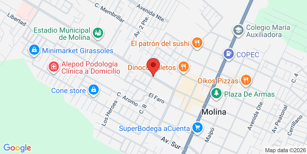 Mapa Estático