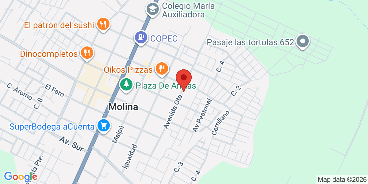 Mapa Estático