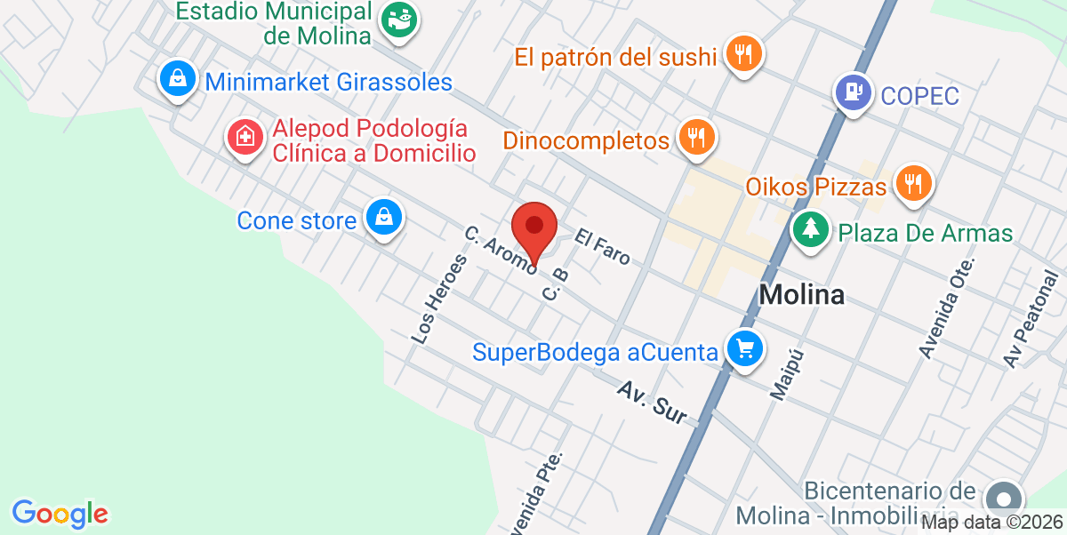Mapa Estático