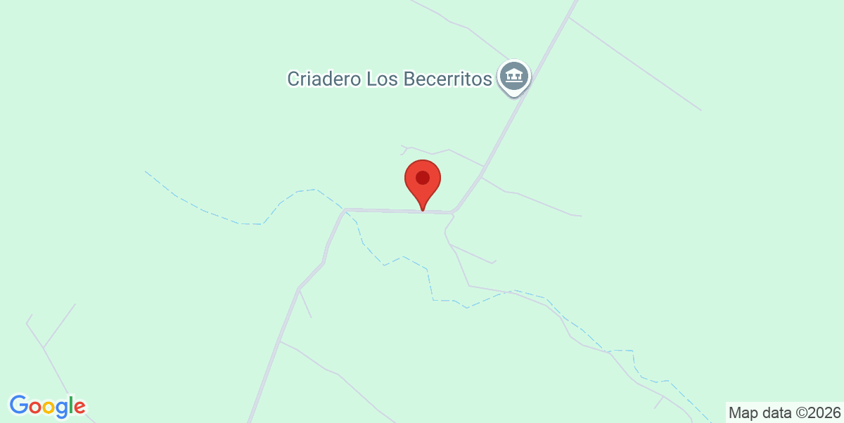 Mapa Estático