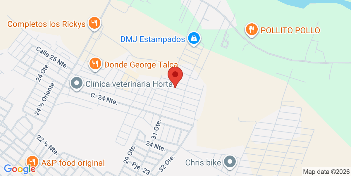 Mapa Estático