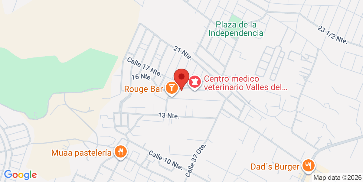 Mapa Estático