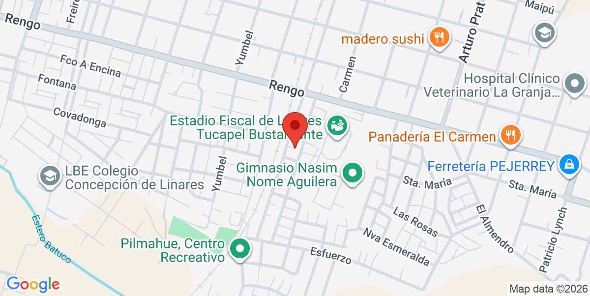Mapa Estático
