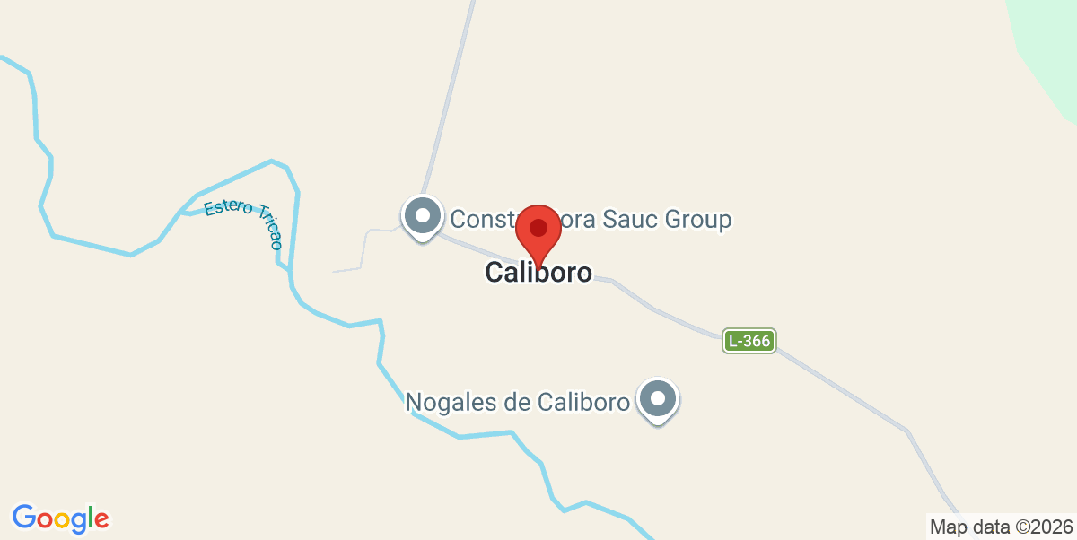 Mapa Estático