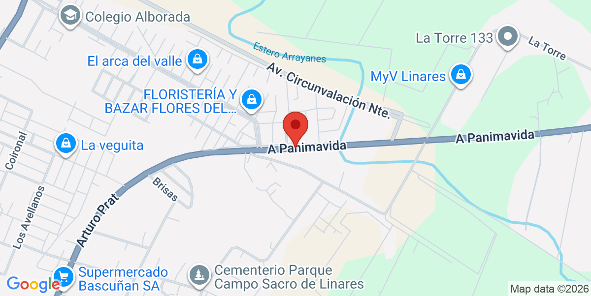 Mapa Estático