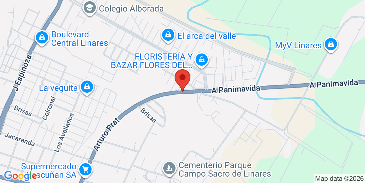 Mapa Estático