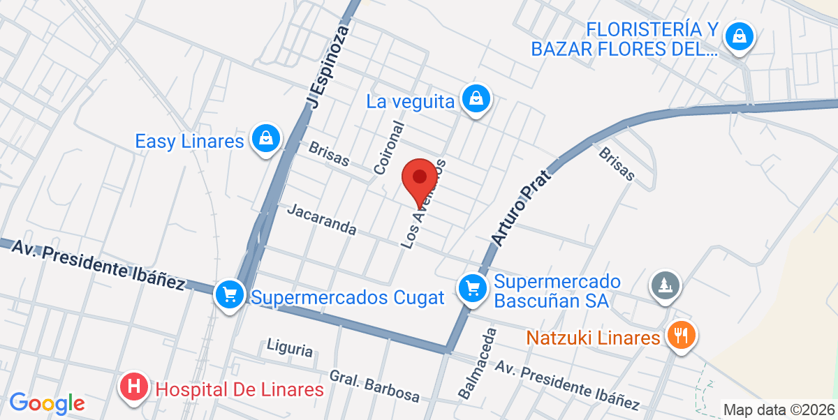 Mapa Estático