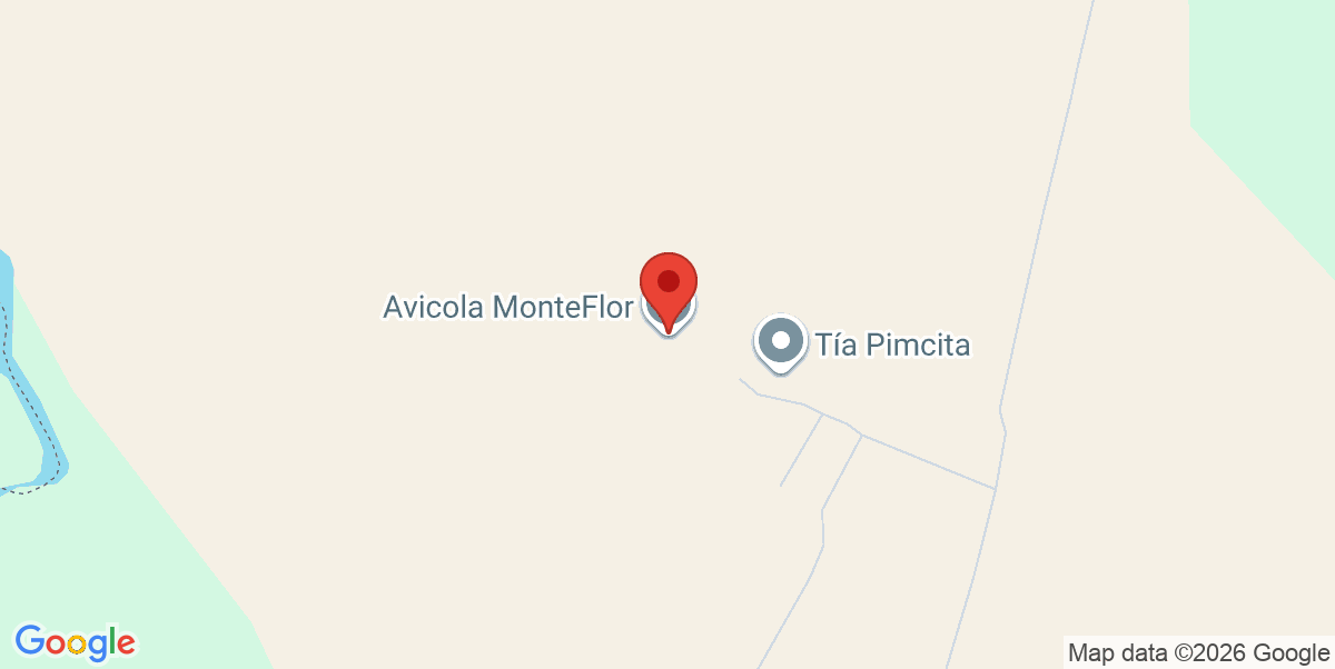 Mapa Estático