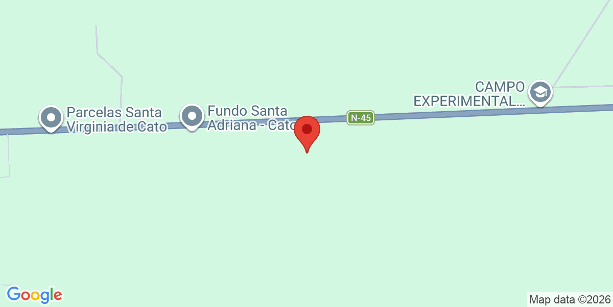 Mapa Estático