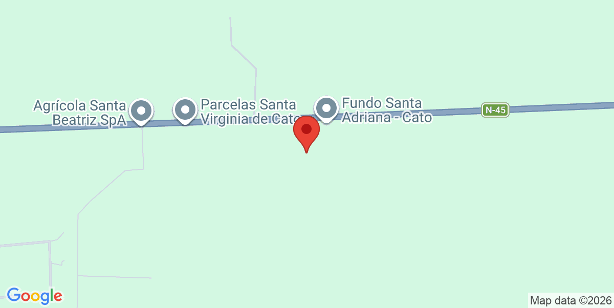 Mapa Estático