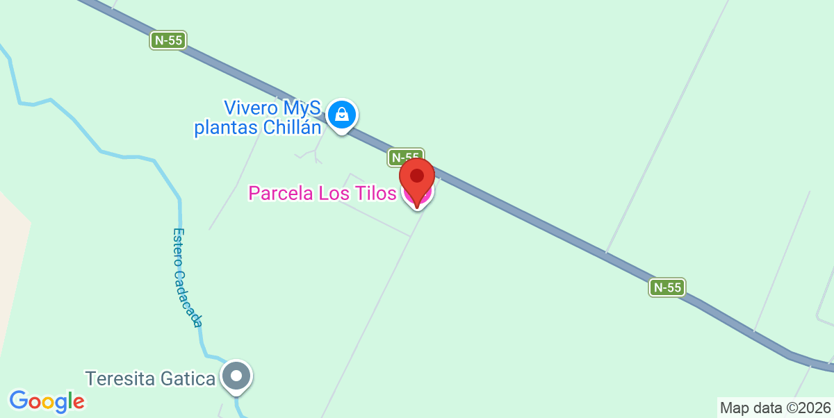 Mapa Estático