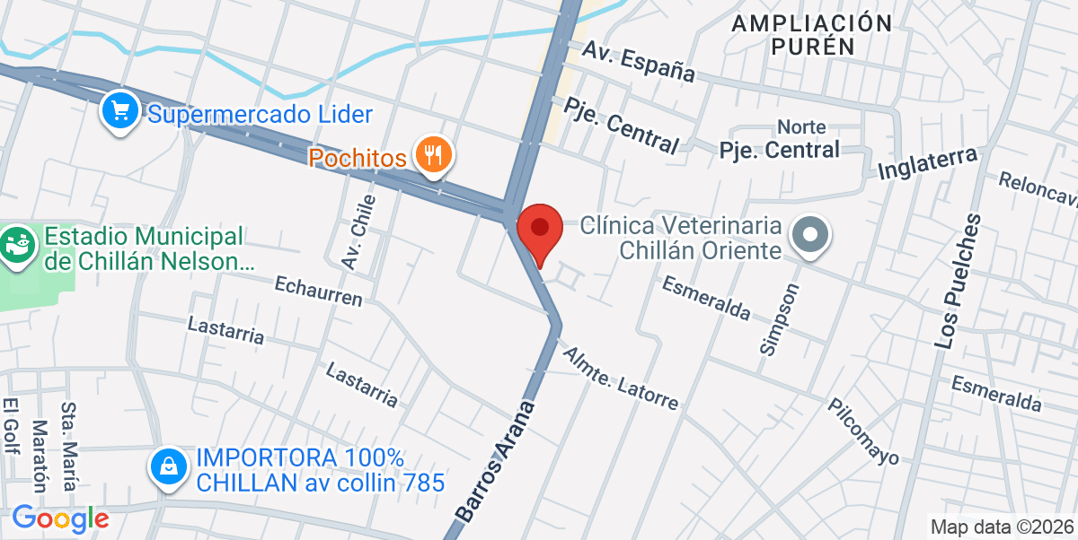 Mapa Estático