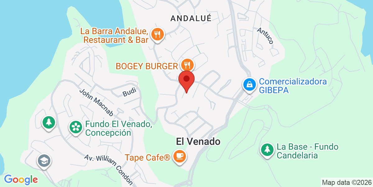 Mapa Estático