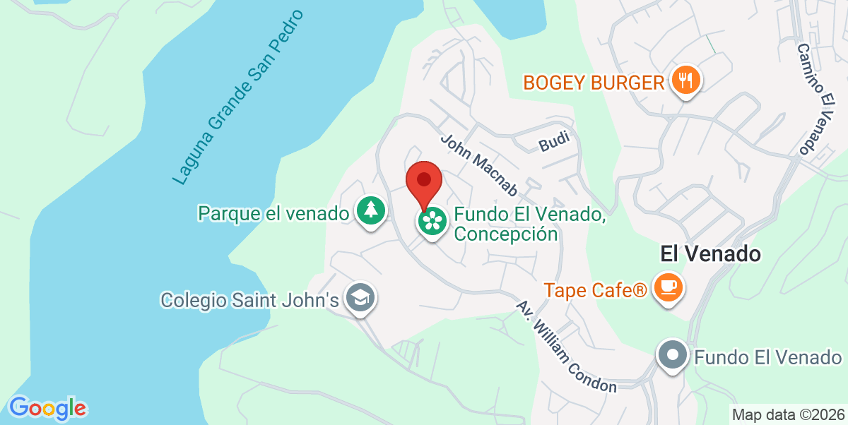 Mapa Estático