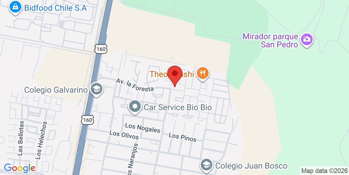 Mapa Estático