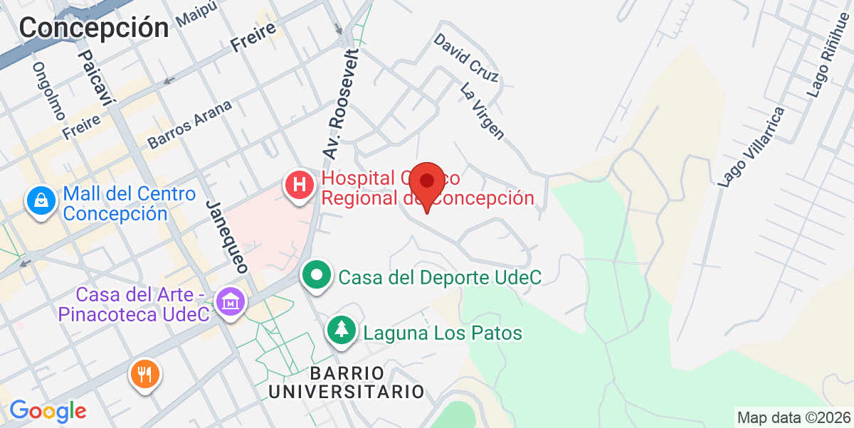 Mapa Estático
