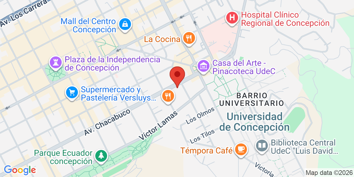 Mapa Estático