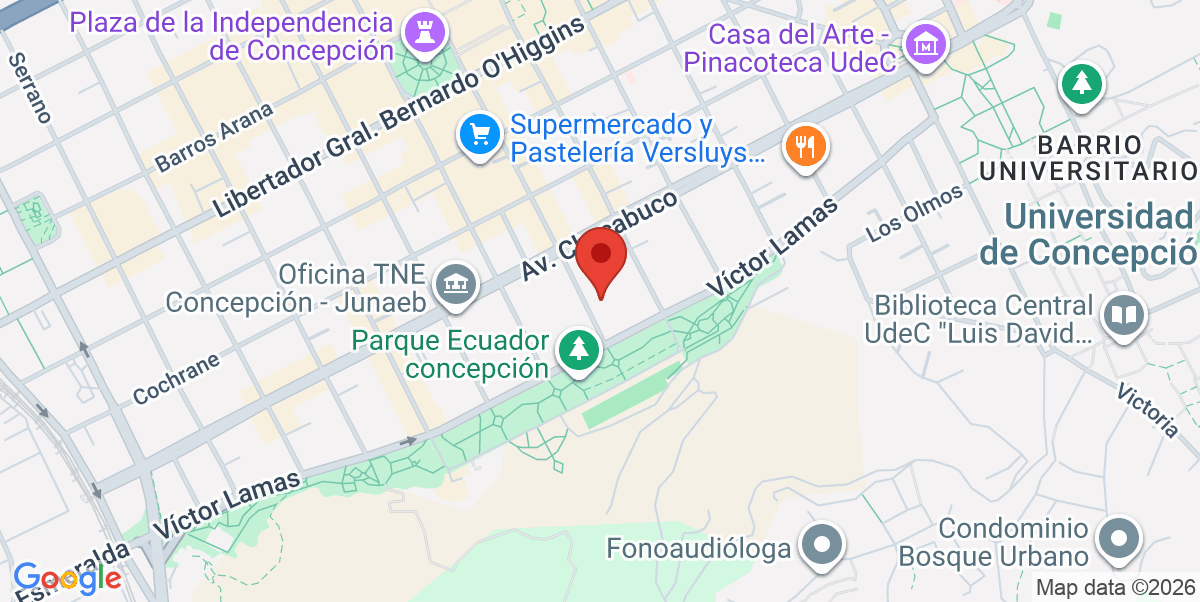 Mapa Estático