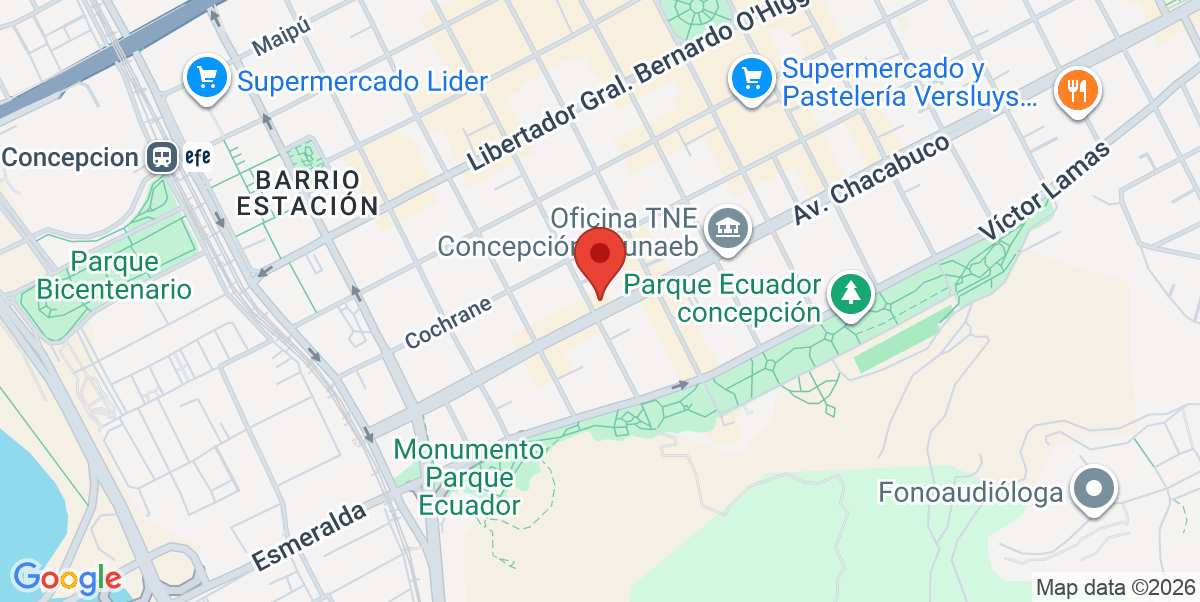 Mapa Estático