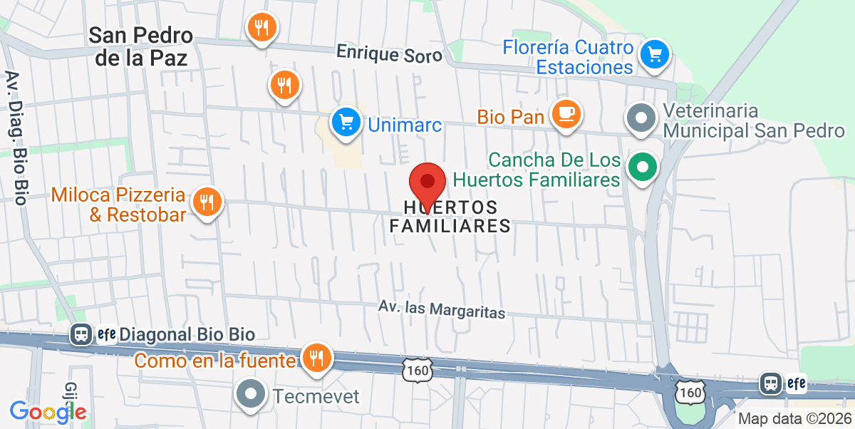 Mapa Estático