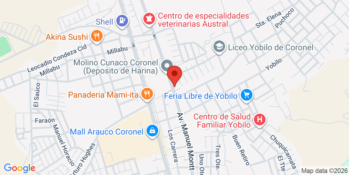 Mapa Estático