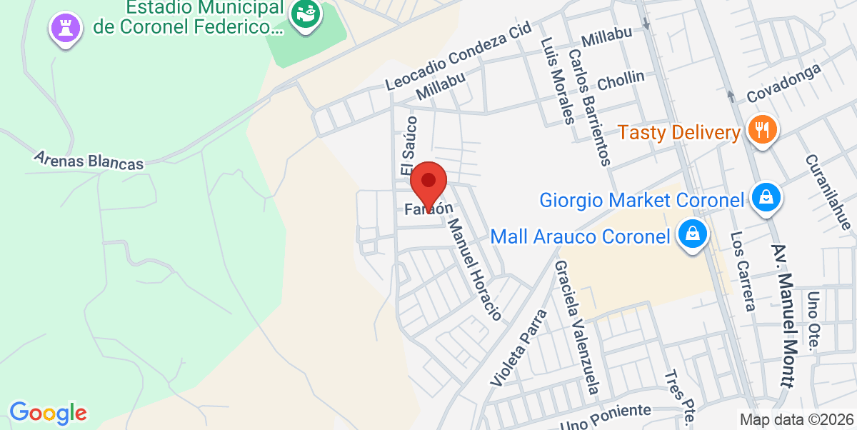 Mapa Estático